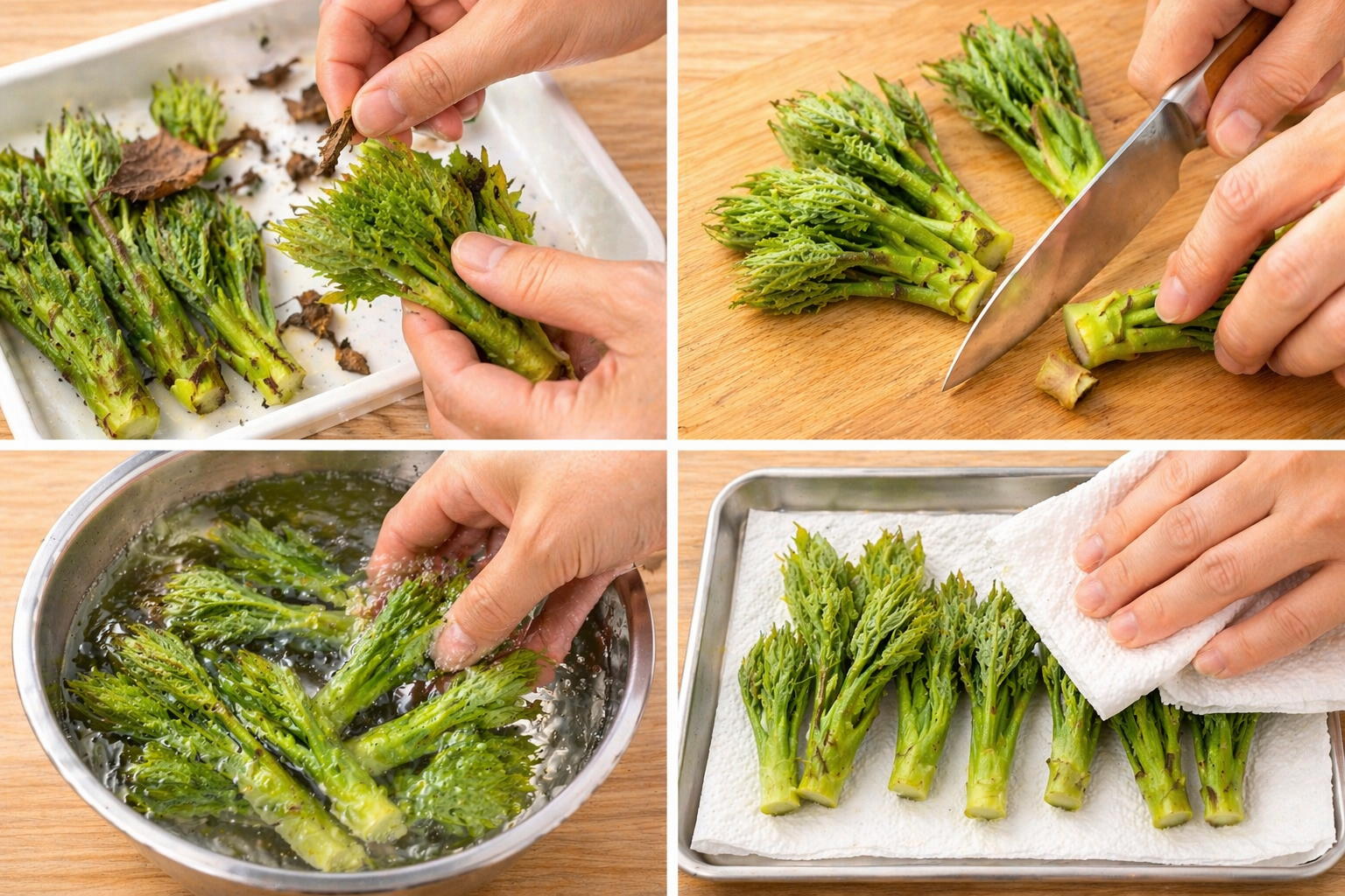 コシアブラの下処理方法